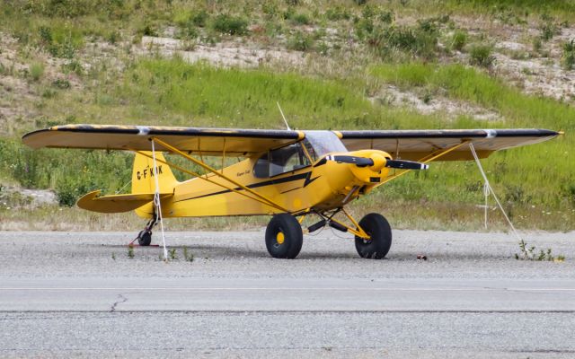 Piper L-21 Super Cub (C-FKOK)