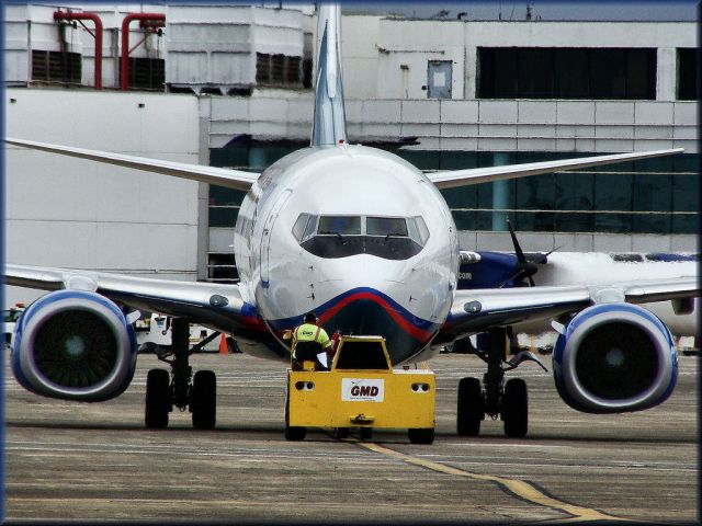 Boeing 737-700 (N313AT) - AirTran N313AT 340 (cn 33927/2169) Boeing 737-700  Luis Muñoz Marin Airport TJSJ - Puerto Rico 5-11-09 Photo by Tomás Del Coro