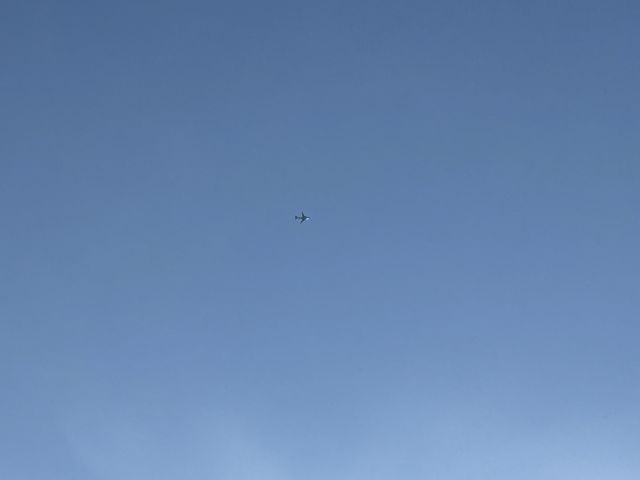 Airbus A319 (N778XF) - Flightradar24 for information 