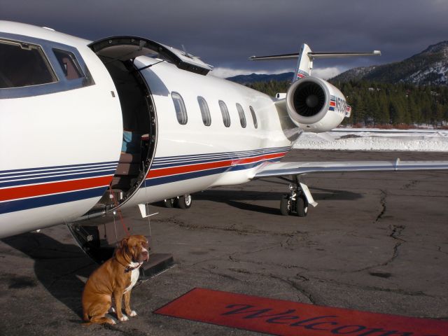 Learjet 60 (N503RE) - V.I.P.