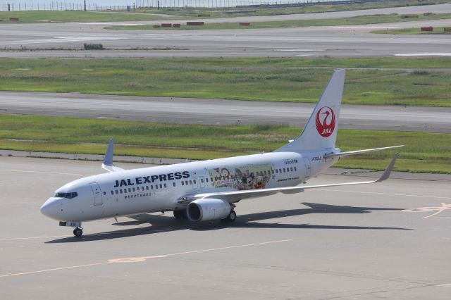 Boeing 737-800 (JA339J)