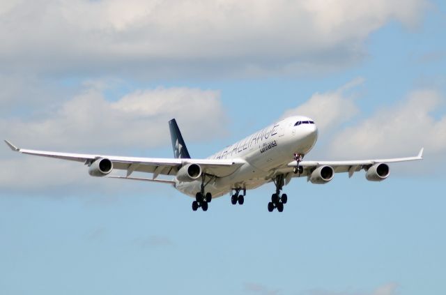 Airbus A340-300 (D-AIGY)