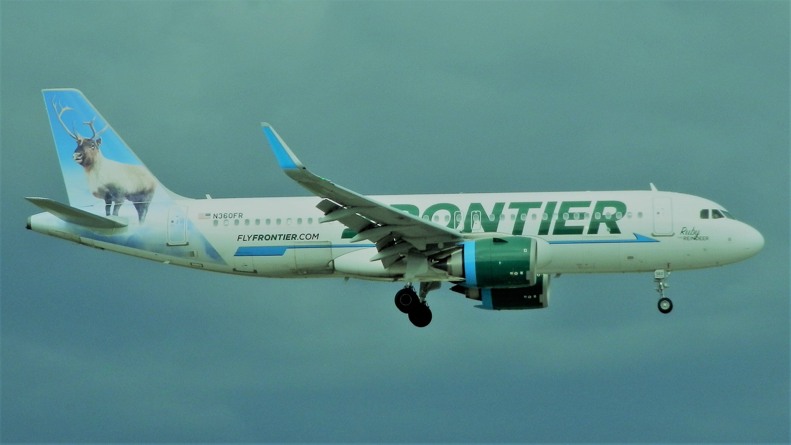 Airbus A320neo (N360FR) - A Frontier new gen A320" Reg#N360FR"Named,"Ruby the Reindeer!"Arriving,"From ,Long Island,MacArthur(KISP)