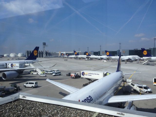 — — - Several Lufthansa commercial airplanes in Frankfurt, Germany.