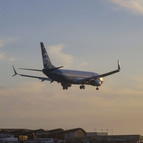 Boeing 737-800 (N565AS)