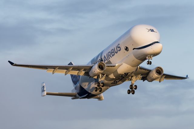 AIRBUS A-330-700 Beluga XL (twin-jet) (A337) Aircraft (page 1 