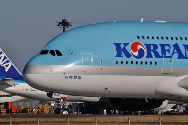 Airbus A380-800 (HL7614) - 2012/12/24
