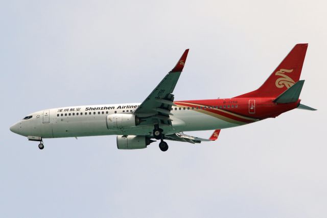 Boeing 737-800 (B-1756)