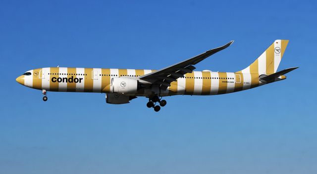 Airbus A330-300 (D-ANRL) - Port beam view.