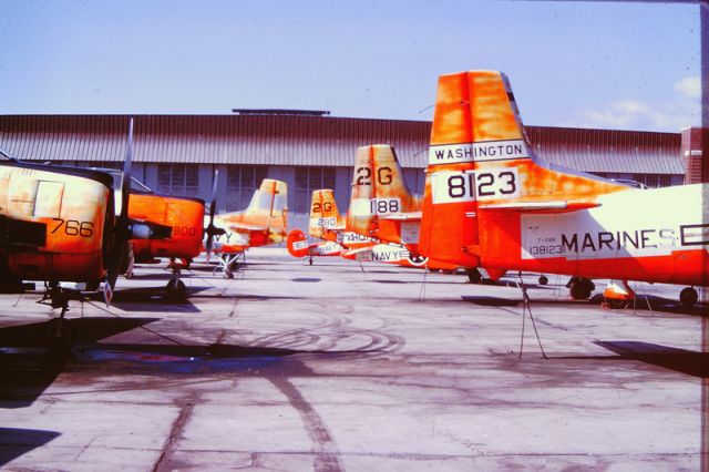 North American Trojan (N8123) - Tired T-28s and a lonely SNB at Fiddler's Green - NAS Pensacola in 1963  - all of 'em in someone's log