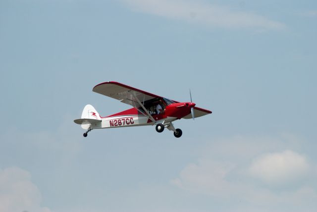 Piper L-18B Cub Special (N287CC)