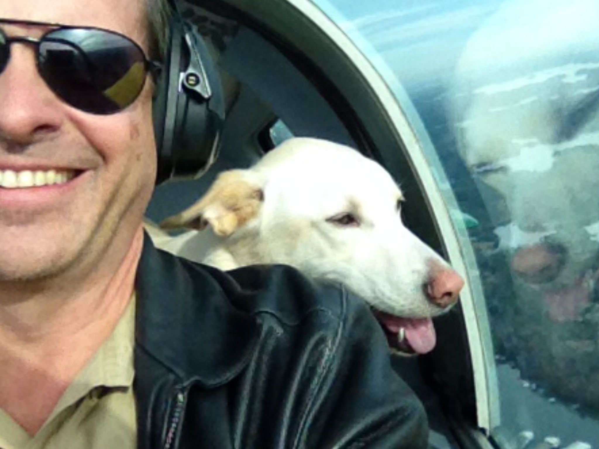 Grumman Tr2 (N1648R) - Good times!