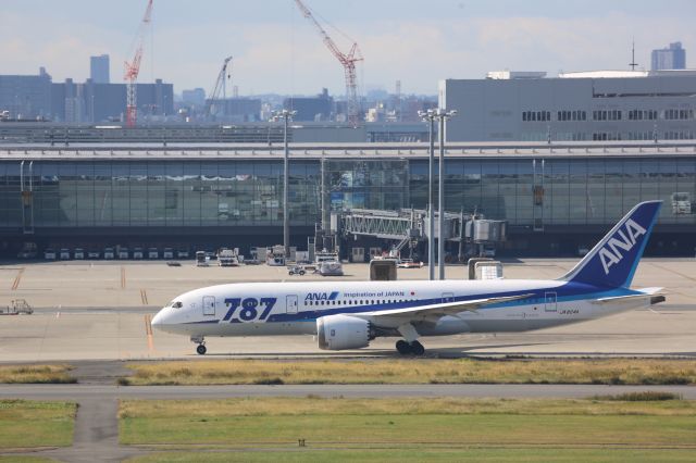 Boeing 787-8 (JA804A)