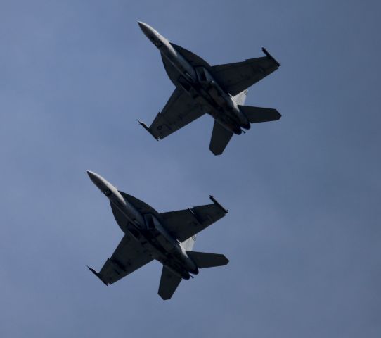 MCDONNELL DOUGLAS Super Hornet (16-6599)