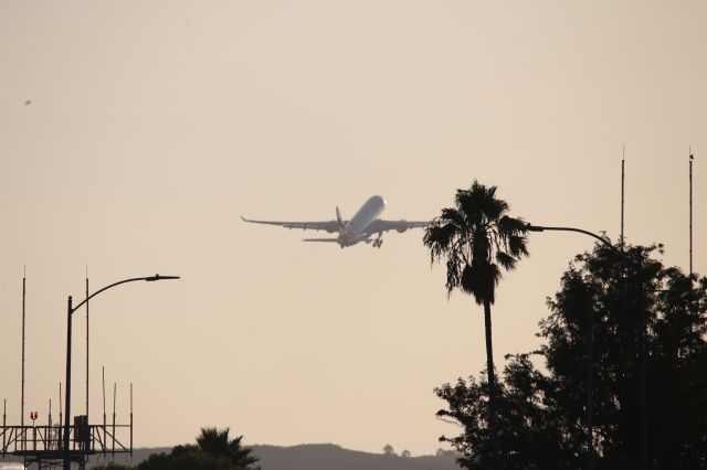 Airbus A330-200 (EC-MLB)