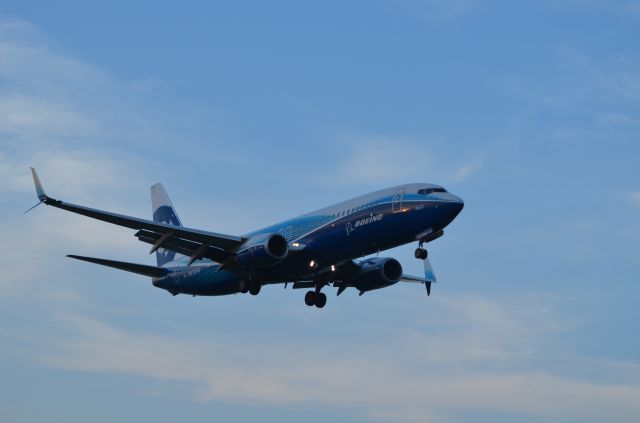 Boeing 737-800 (N512AS) - Taken June 13, 2017<br>br /Alaska Airlines (Spirit of Seattle Livery) Boeing 737-800br /Airport: Reagan National