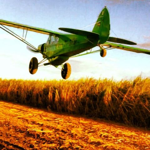 Piper L-21 Super Cub (TI-BEM)