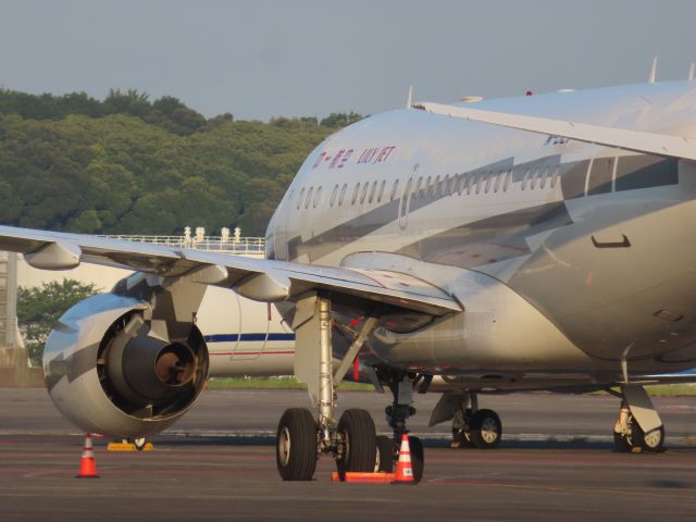 Airbus A318 (M-LILY) - Photo taken on Jul 26, 2023.