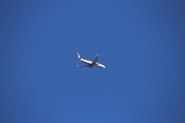 Boeing 737-900 (N38443)