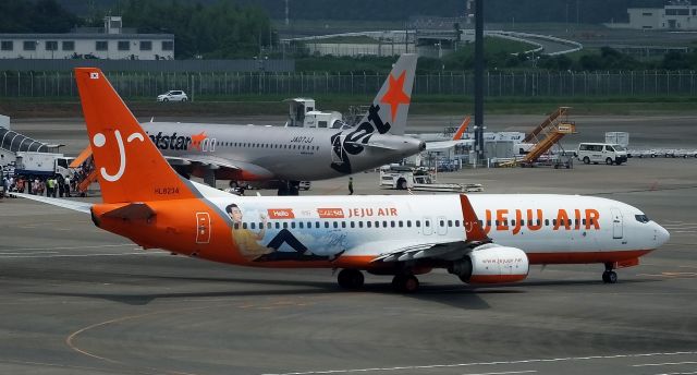 Boeing 737-800 (HL8234)