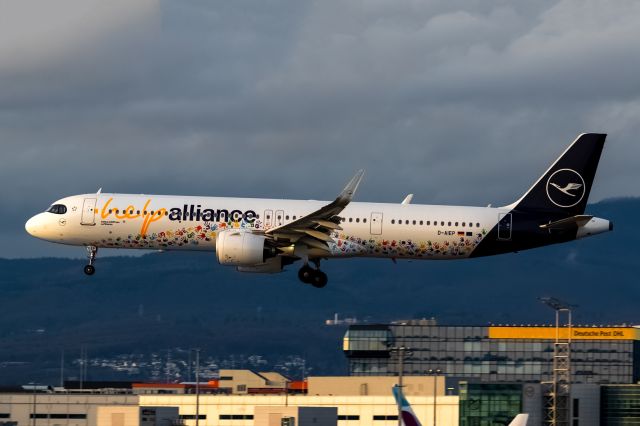 Airbus A321neo (D-AIEP) - '' hellp Alliance''