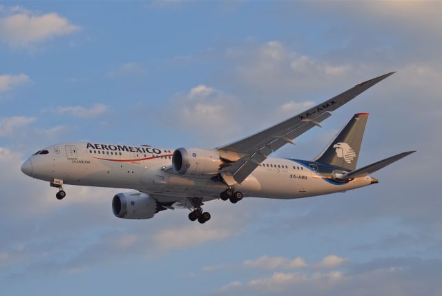 Boeing 787-8 (XA-AMX) - Boeing B787-8 Dreamliner XA-AMX MSN 36843 named "La Laguna" on approach at Mexico City International Airport (04/2019).