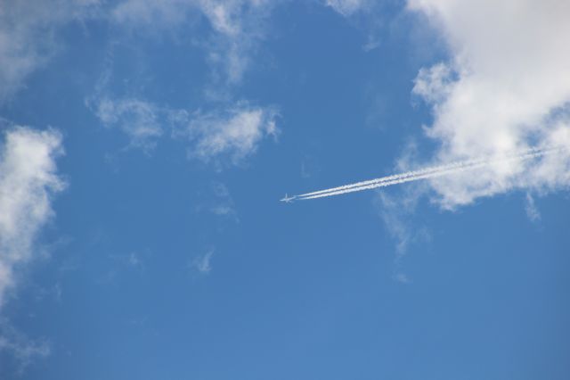 Airbus A330-300 (OD-MEE)