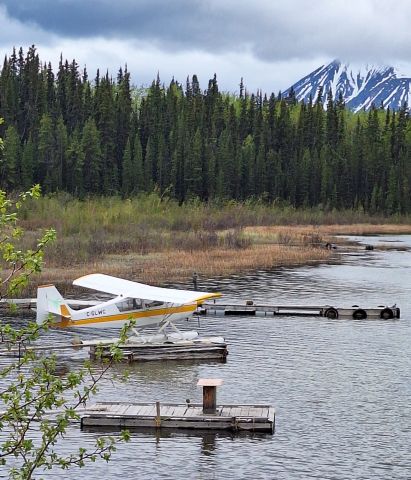 CHAMPION Sky-Trac (C-GLWC) - Bellanca 7GCBC Citabra at Como Lake, Atlin BC, owl statue as bird deterrant on propeller, viewed from Atlin Hwy