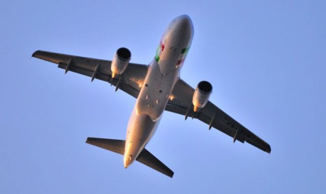 Airbus A319 (CS-TTR) - Arriving home at dusk