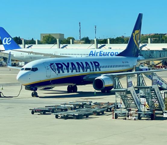 Boeing 737-800 (EI-DLF)