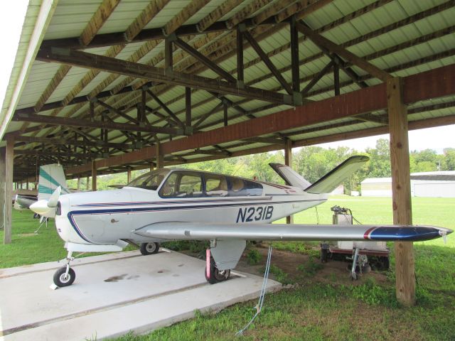 Beechcraft 35 Bonanza (N231B)