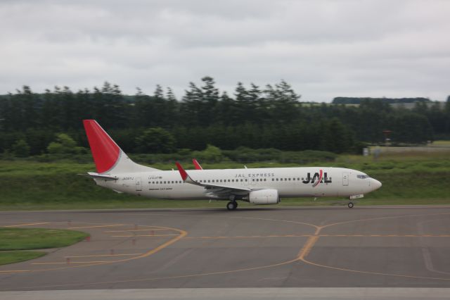 Boeing 737-800 (JA307J)