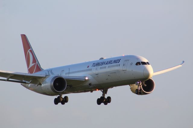 Boeing 787-9 Dreamliner (TC-LLJ) - A Turkish Airlines B787-9 on final approach into LHR, Landing on runway 27R.br /br /Location: Northern Perimiter Road, Beside Runway 27R.br /Date: 20.12.22 (dd/mm/yy).