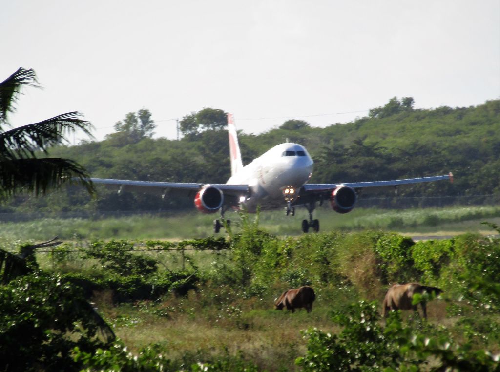Airbus A319 (C-FYJG)