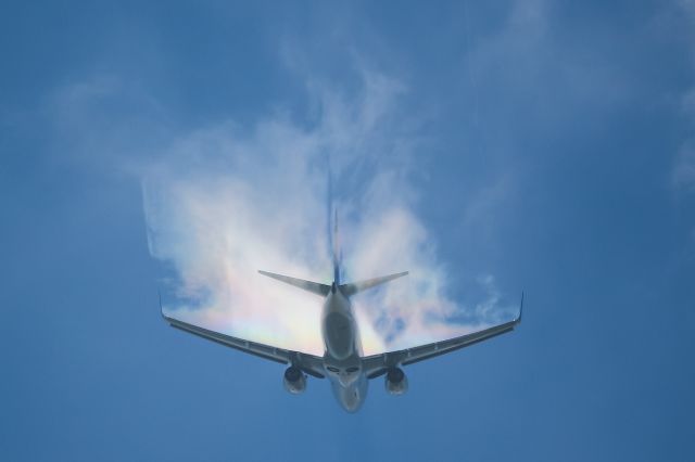 Boeing 737-700 (JA02AN)