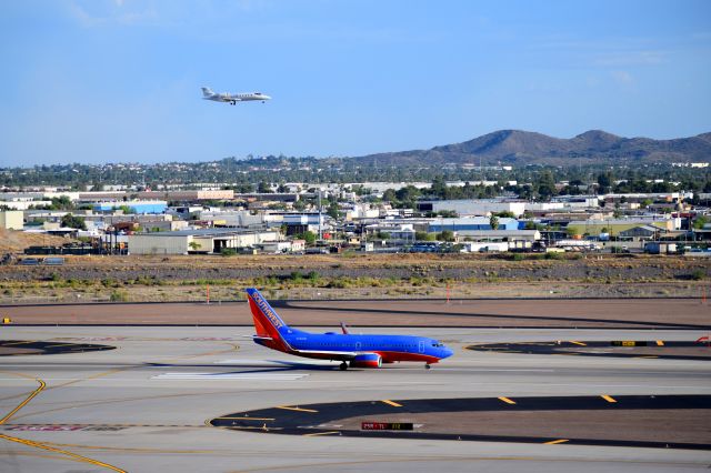 Boeing 737-700 (N703SW) - sorry for backlit but this is in phoenix earlier today 