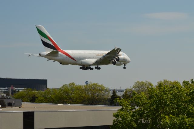 Airbus A330-300 (A6-EDC)