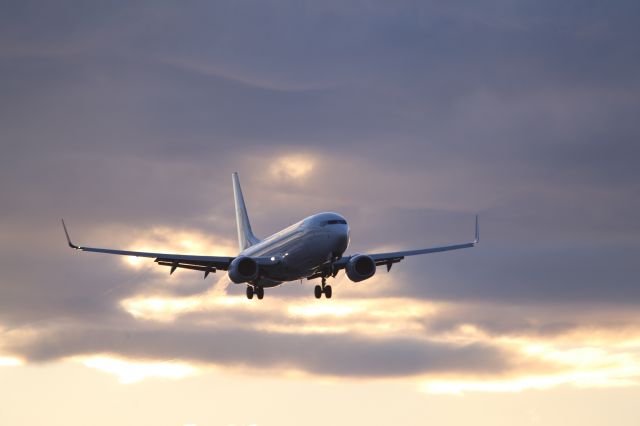 Boeing 737-800 (JA350J) - 11 July 2014:HND-HKD.