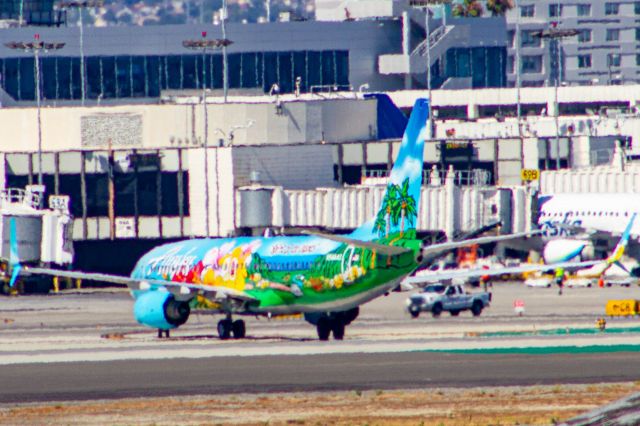 Boeing 737-800 (N560AS)