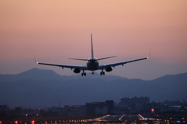 Boeing 737-800 (JA303J) - April 15th 2021:HND-HKD.