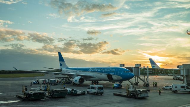 Airbus A330-200 (LV-FNK) - I was at the gate waiting to board this plane to JFK. The plane next to it is LVFNI going to MIA, the exact one from Herpa 1:500 model.