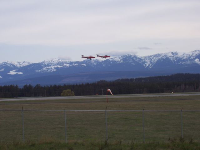 11-4085 — - Pair of Snow Birds landing  CFB Comox, Vancouver, Island BC