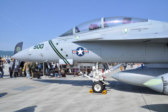 McDonnell Douglas FA-18 Hornet (16-6895)