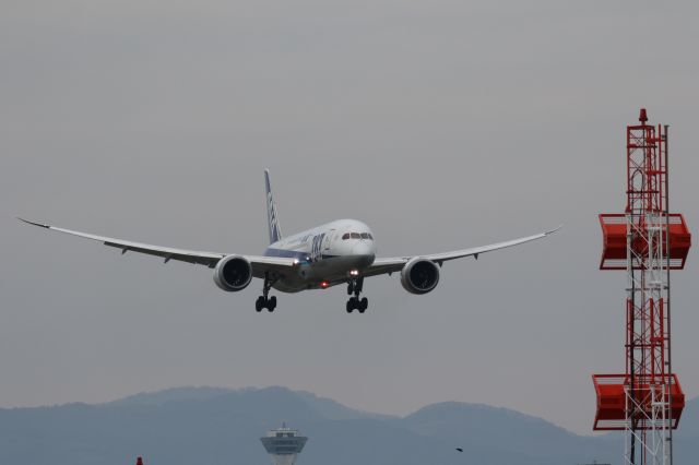 Boeing 787-8 (JA811A) - 23 November 2015:HND-HKD.