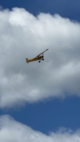 Piper L-21 Super Cub (N8094D)