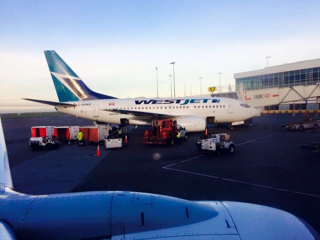 BOEING 737-600 (C-GPWS) - WESTJET B736 AT GATE 17 AT CYYZ AIRPORT!