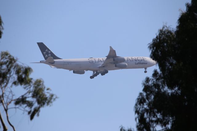 Airbus A340-300 (D-AIGP)