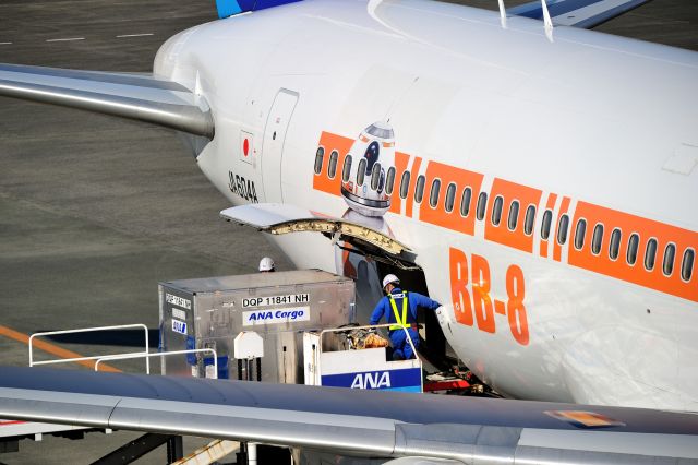 BOEING 767-300 (JA604A)