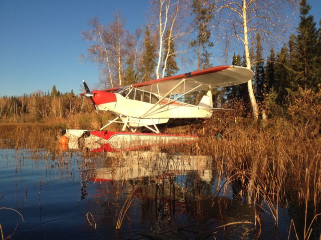 Piper L-21 Super Cub (N1907A) - At the lake