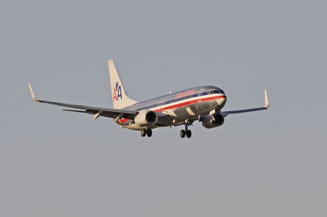 Boeing 737-800 —